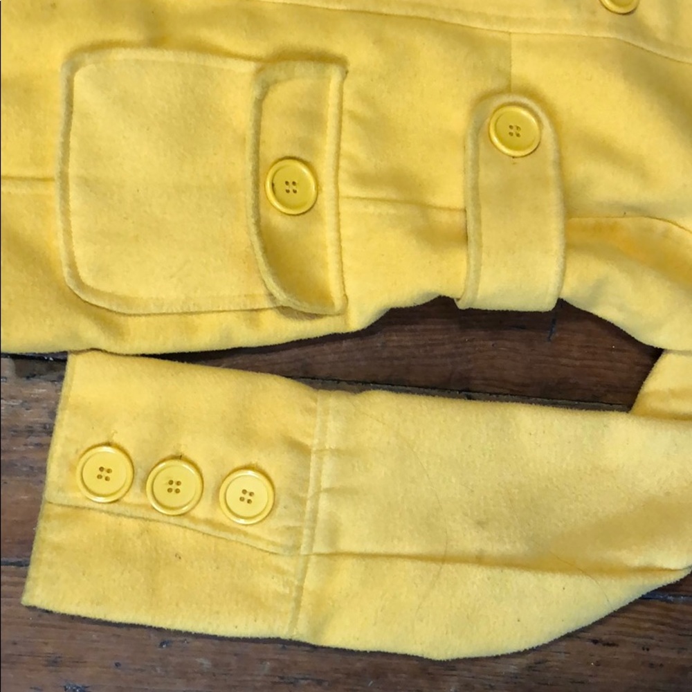 Yellow Jacket - Picture 2 of 4